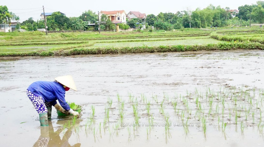 Ảnh minh họa: ITN
