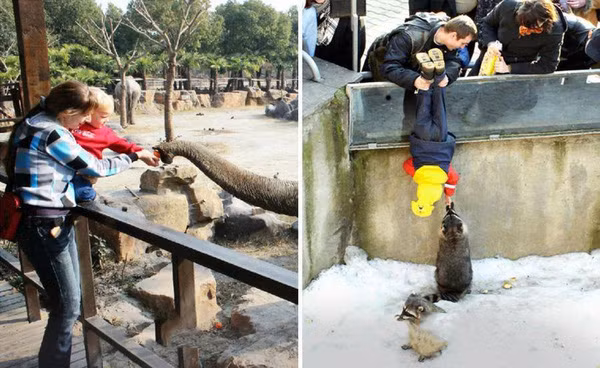 Sự khác nhau hài hước đến “không đỡ nổi” giữa bố và mẹ khi chơi với con