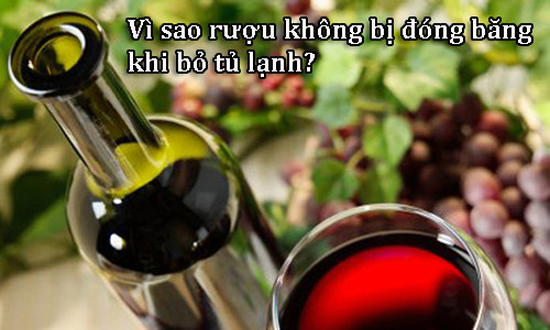 vi-sao-ruou-khong-bi-dong-bang-3930-2545