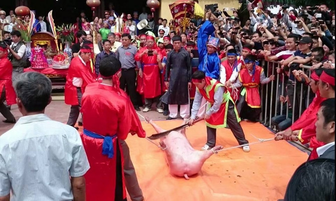 Vì sao dân làng Ném Thượng quyết chém lợn giữa sân đình?