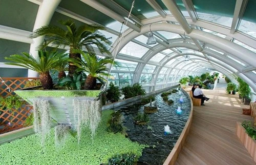 Mở sân golf, casino trong sân bay chiều khách chậm chuyến