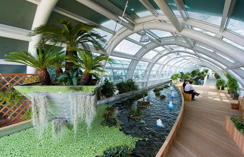 Mở sân golf, casino trong sân bay chiều khách chậm chuyến