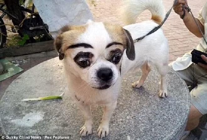 "Các bạn thấy tớ có xinh không nào" "Các bạn thấy tớ có xinh không nào"