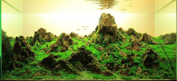 Một tác phẩm khá của anh Nam