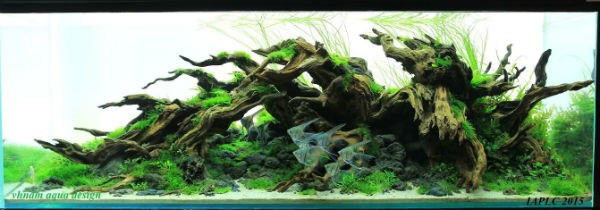 Tác phẩm "Chốn bình yên" của anh Vũ Hoài Nam.