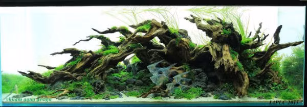 Tác phẩm "Chốn bình yên" của anh Vũ Hoài Nam.