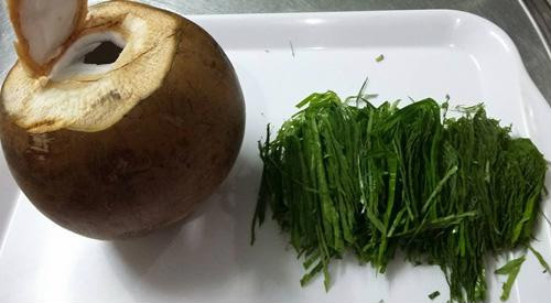 Muốn trị dứt điểm bệnh gút, hãy dùng ngay bài thuốc lá trầu và nước dừa này ảnh 3