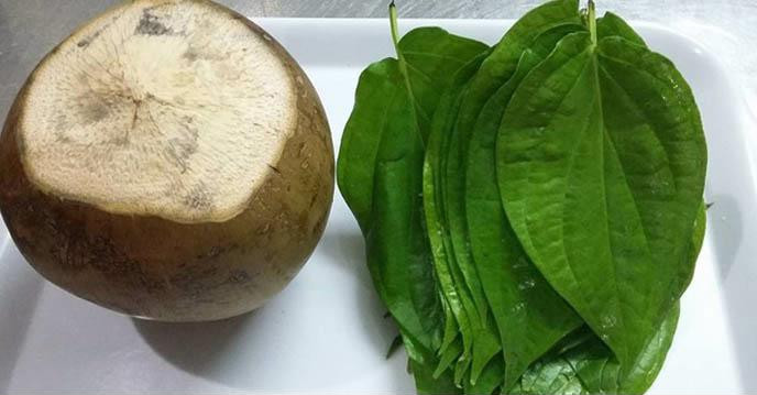 Muốn trị dứt điểm bệnh gút, hãy dùng ngay bài thuốc lá trầu và nước dừa này ảnh 2