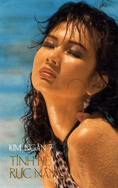 Xót xa tuổi xế chiều bệnh tật, đi lang thang của mỹ nhân bậc nhất hải ngoại ảnh 3