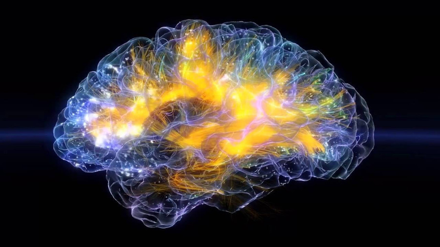 Hoạt động điện từ trong não. Hoạt động điện từ trong não.