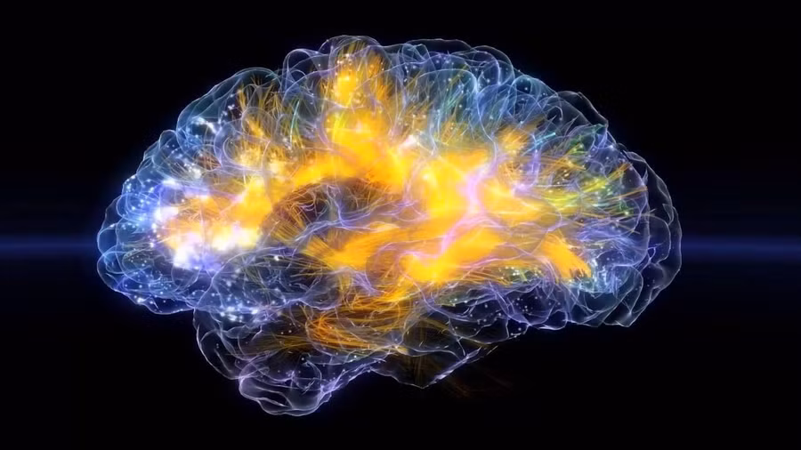 Hoạt động điện từ trong não.