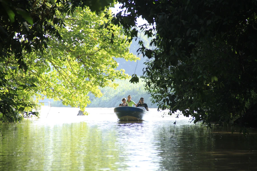 Những báu vật trên "tiểu hành tinh hoang dã" Kinabatangan