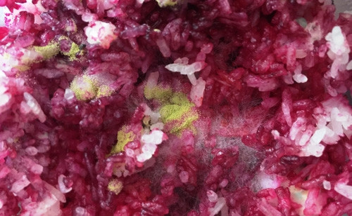 Gạo nấu cơm chuyển thành màu đỏ rực: Chuyên gia phân tích - Ảnh 2