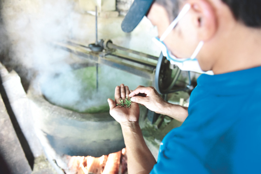 Kiểm tra thóc đã chín mềm, nở đủ độ.