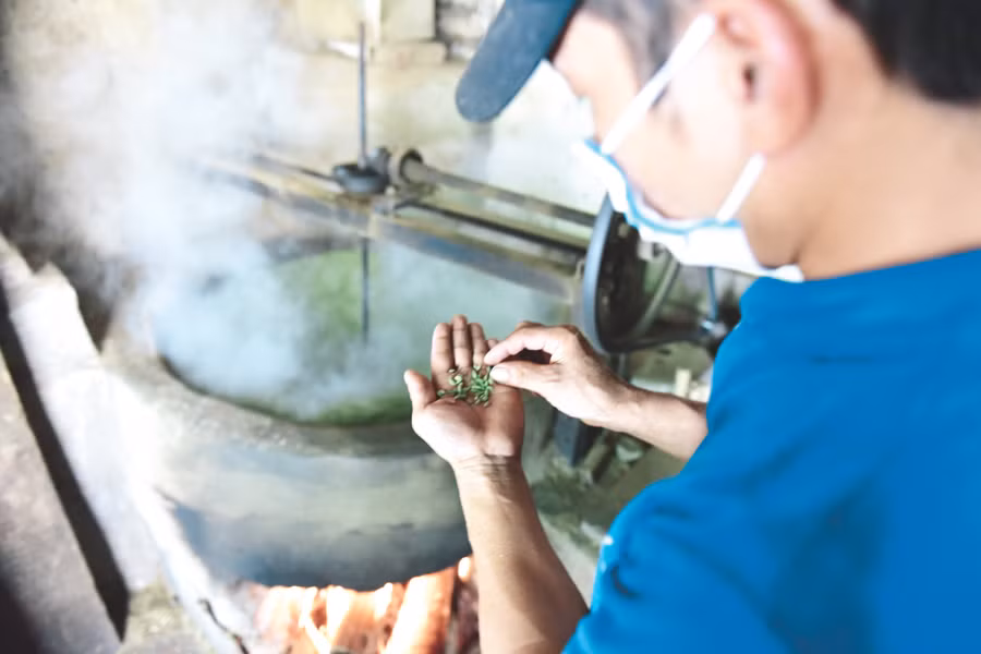 Kiểm tra thóc đã chín mềm, nở đủ độ.