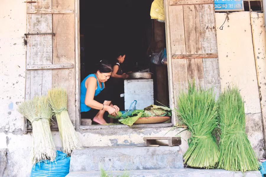 Những hạt cốm non được gói trong lá sen, thơm ngát.