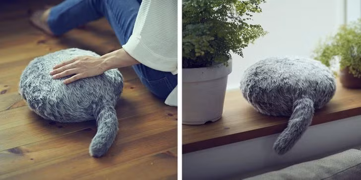 Combo chú mèo robot không đầu và thú cưng mới được yêu thích của Nhật Bản.