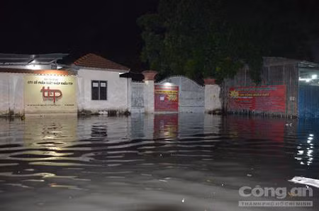TP HCM: Hang tram ho dan 
