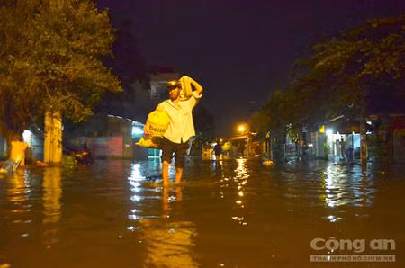 TP HCM: Hang tram ho dan 