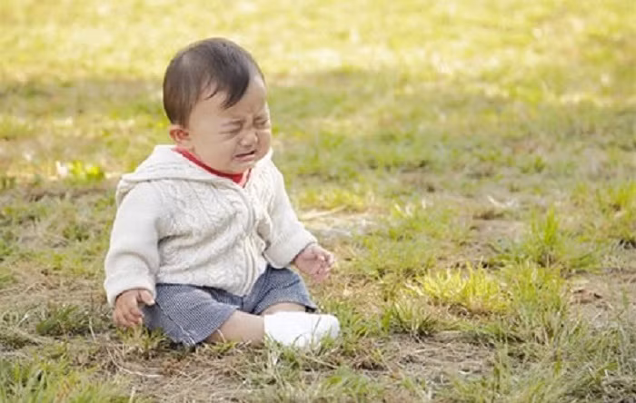 Từ khi chào đời, trẻ đã có chính kiến.