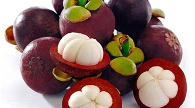 Trong quả măng cụt còn có axit Trytophan tạo ra sự phấn chấn trong tinh thần.