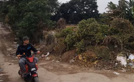 Giap Tet, quat Tu Lien lai chet kho - Anh 1