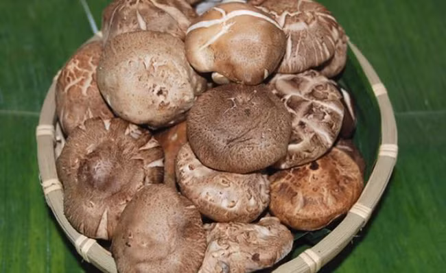 Muốn sống thọ đến 100 tuổi, không đau ốm bệnh tật bạn nên thường xuyên ăn 8 loại thực phẩm này