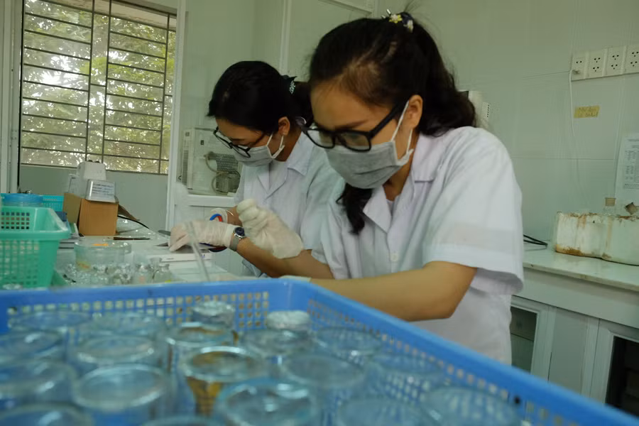 Học viên, nghiên cứu viên trong phòng thí nghiệm của Trường Đại học Sài Gòn. Ảnh: Mạnh Tùng