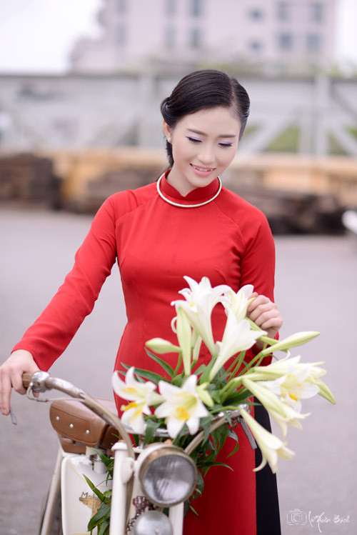 tan chay vi thieu nu ha noi chup anh ao dai ben hoa loa ken - 2