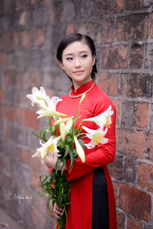tan chay vi thieu nu ha noi chup anh ao dai ben hoa loa ken - 10