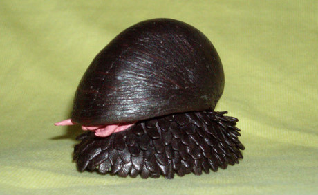 Loài Loai