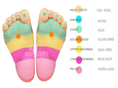 Vị trí lòng bàn chân giúp giảm đau ở 7 bộ phận ứng trên cơ thể bé - Ảnh 1 Vi tri long ban chan giup giam dau o 7 bo phan ung tren co the be - Anh 1