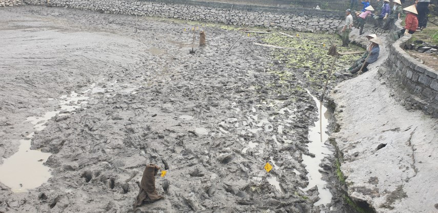 Khu vực phát lộ cọc là một ao nuôi thủy sản Khu vực phát lộ cọc là một ao nuôi thủy sản