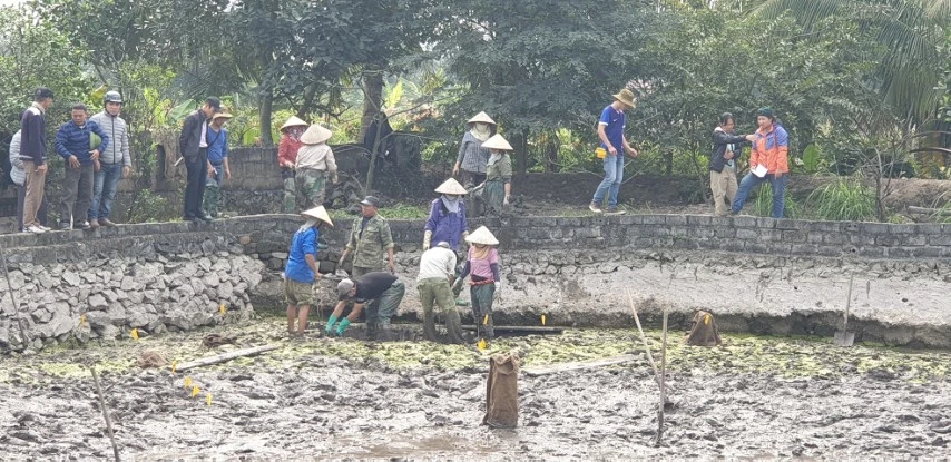 Hải Phòng: Phát lộ thêm “bãi cọc Bạch Đằng” dưới… ao