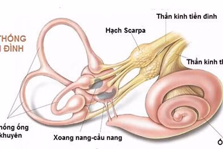 Lưu ý gì khi dùng thuốc chữa rối loạn tiền đình?