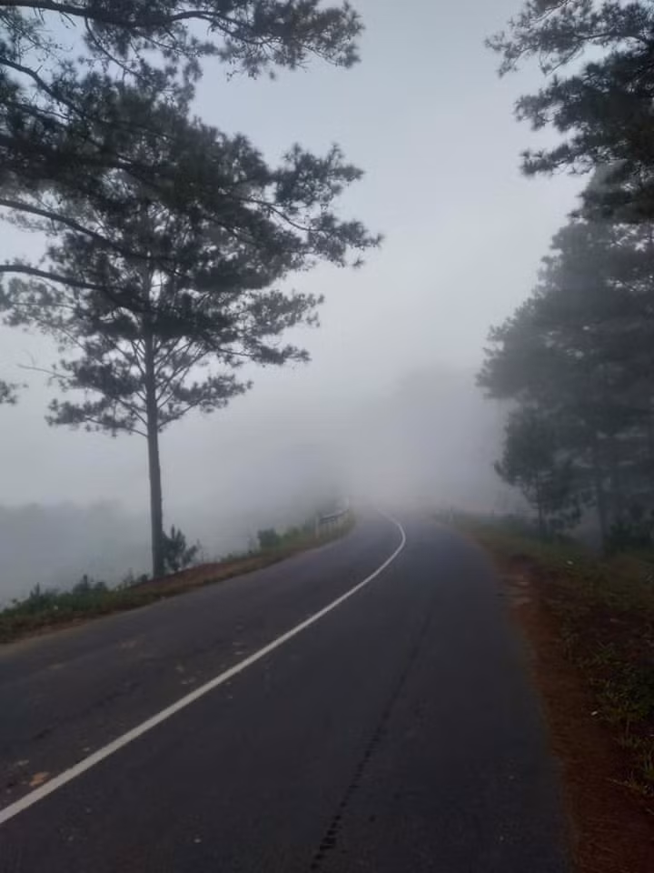 Phía trước căn nhà là quốc lộ 27C thoáng đãng xuyên qua những rừng thông đẹp như cổ tích.