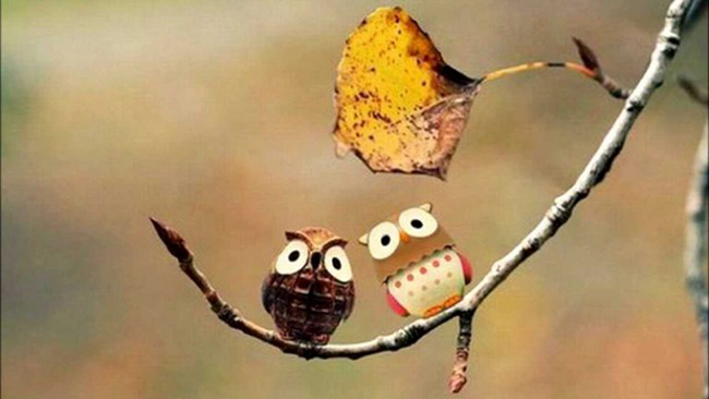 Đời là canh bạc, chọn trắng hay đen, hậu quả đều là do bạn tự mình gánh chịu. (Ảnh: Internet)
