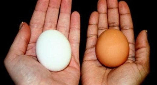Mách bạn những mẹo kiểm tra chất lượng trứng gà Mach ban nhung meo kiem tra chat luong trung ga