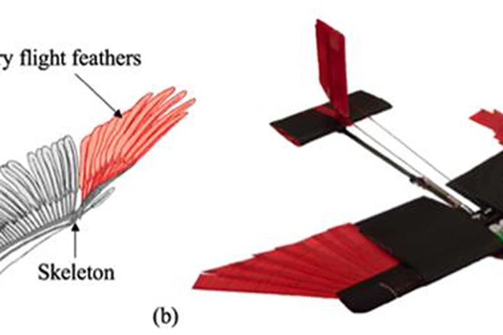 Máy bay không người lái vỗ cánh như chim