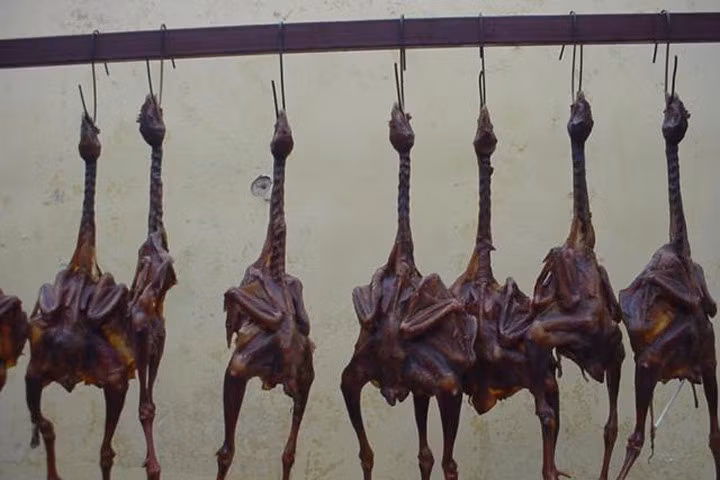 Sự thật rợn người sau món đặc sản đắt đỏ bậc nhất