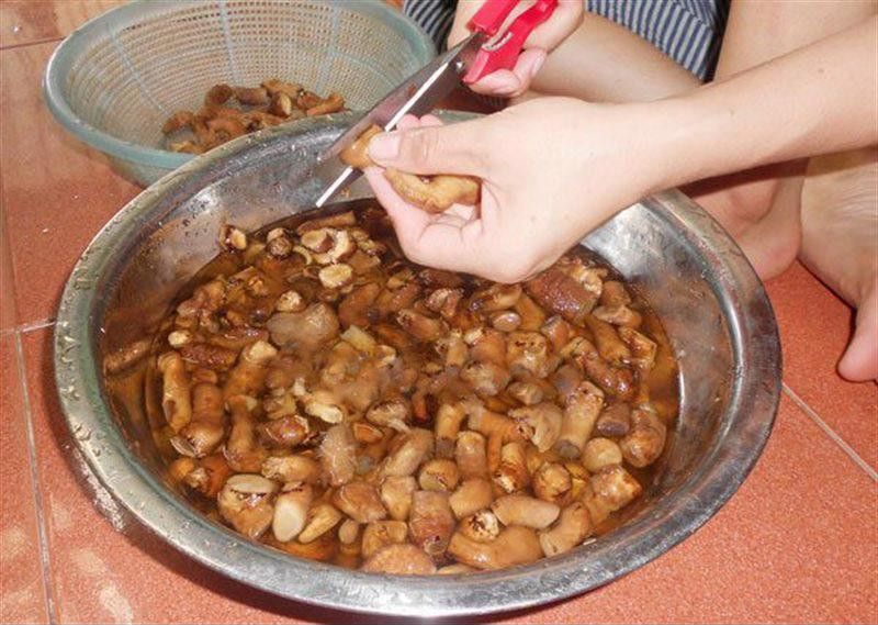 Bật mí cách làm ruốc nấm thơm ngon tại nhà cực đơn giản ảnh 2 Bật mí cách làm ruốc nấm thơm ngon tại nhà cực đơn giản ảnh 2