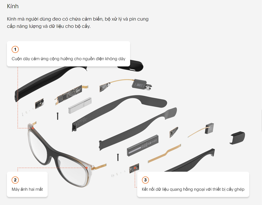 Sau phẫu thuật, mắt sẽ nhận thông tin hình ảnh kỹ thuật số đủ để tránh va chạm khi đi ra ngoài.