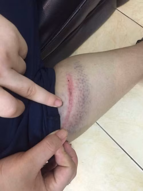 Trang nhật ký thấm đẫm nước mắt tố cáo dì ghẻ ngược đãi con chồng - Ảnh 3