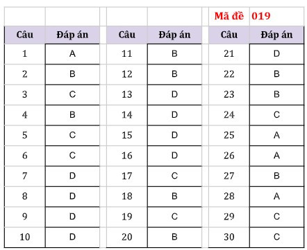 Nhận xét và gợi ý giải đề thi môn Lịch sử kỳ thi tuyển sinh vào lớp 10 Hà Nội ảnh 5