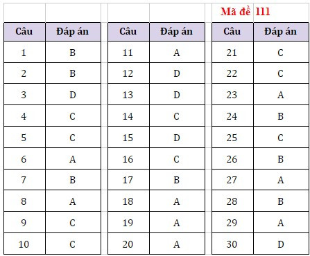 Nhận xét và gợi ý giải đề thi môn Ngoại ngữ kỳ thi tuyển sinh lớp 10 Hà Nội ảnh 5