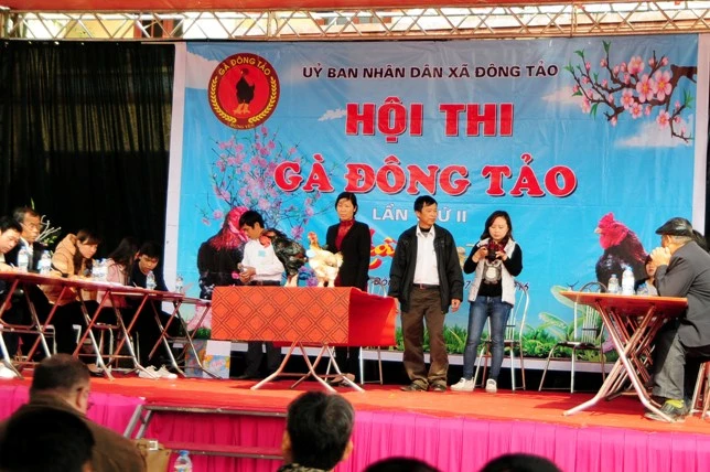 Độc đáo cuộc thi sắc đẹp của những chú “gà chân voi“