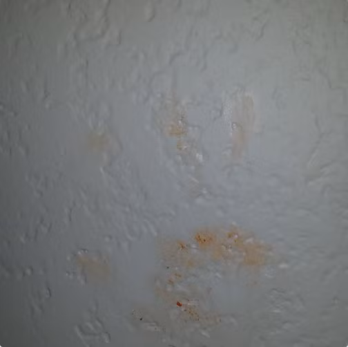 25 tình huống hài hước chỉ khi có con bạn mới hiểu ảnh 10