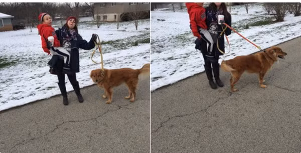 25 bức ảnh diễn tả những tình huống hài hước mà chỉ khi có con bạn mới hiểu