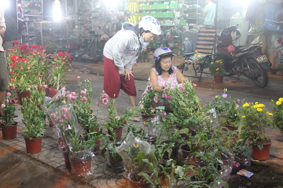 Những chậu hoa cuối cùng giá giảm "kịch sàn" trong đêm cuối năm