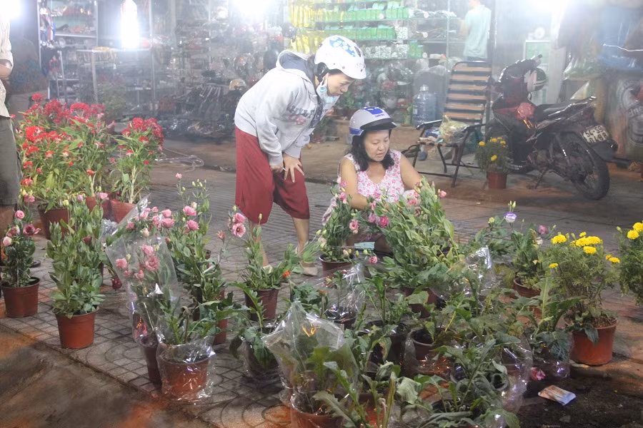 Những chậu hoa cuối cùng giá giảm "kịch sàn" trong đêm cuối năm